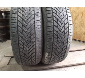 Шини на авто в хорошому стані Tracmax All Season   . . шириною 205 висотою 65 радіусом R 15 низькі ціни